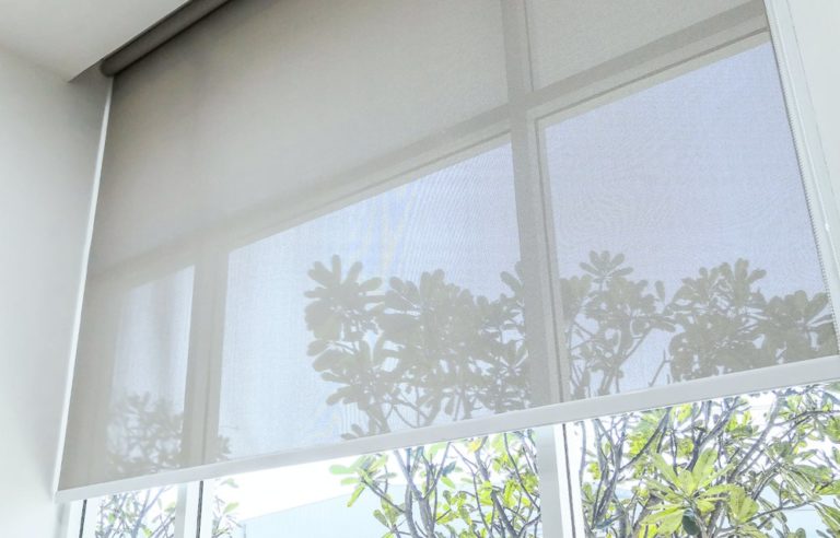 Purchase Classic Sunscreen Roller Blinds